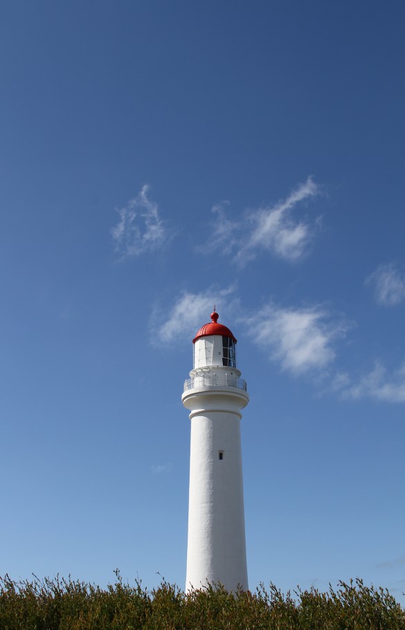image8